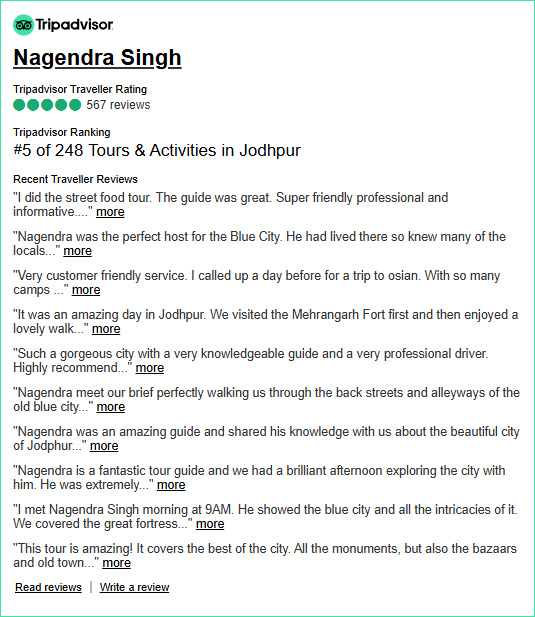 Tripadvisor Reviews