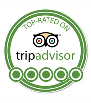 Trip Advisor