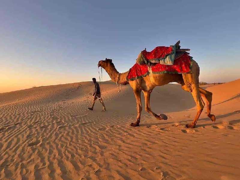 Golden Triangle Tour With Jaisalmer | Jodhpur Blue City Tour