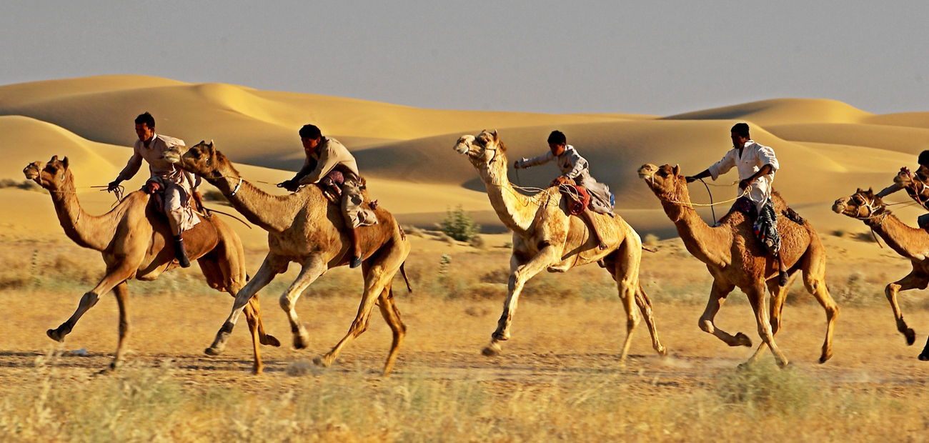 Golden Triangle Tour With Jaisalmer | Jodhpur Blue City Tour